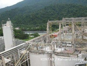 Kadin: Beberapa perusahaan akan bangun smelter untuk sukseskan hilirisasi