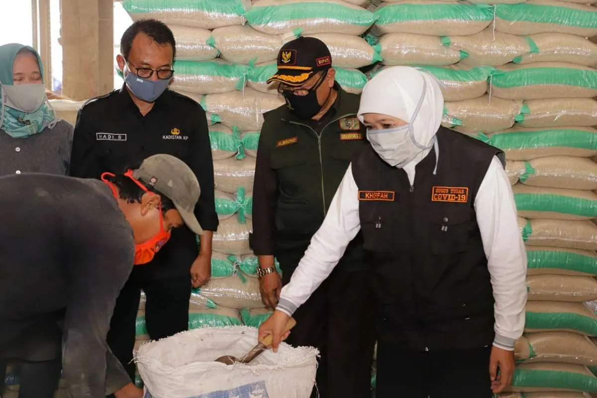 Jawa Timur kini jadi lumbung padi terbesar Indonesia tahun ini