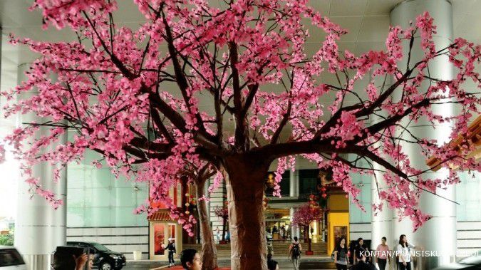 Catat, bunga Sakura mulai mekar 25 Maret