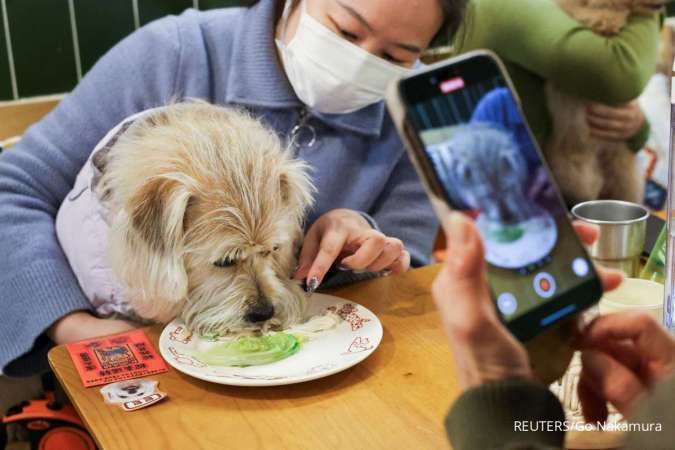 Shanghai Meriahkan Tahun Baru Imlek dengan Jamuan untuk Anjing