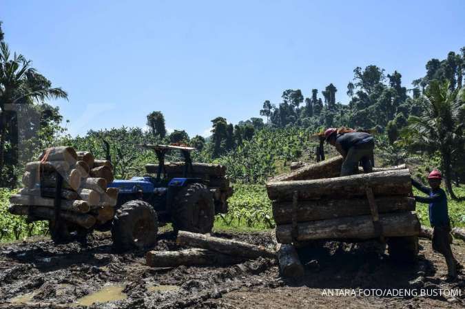 Indonesia Dorong Kesetaraan dalam Sertifikasi Pengelolaan Hutan