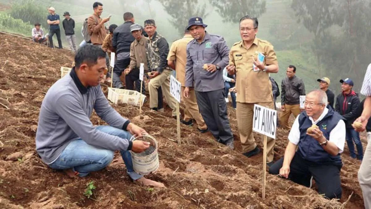 Kembangkan Klaster Kentang, Polbangtan Kementan Berkolaborasi dengan Pemkab Malang