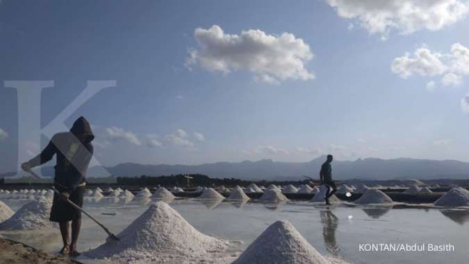 Persetujuan impor garam industri sudah terbit dan tidak bisa dicabut lagi