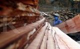 Di sela COP 21, Indonesia dan China bahas kayu