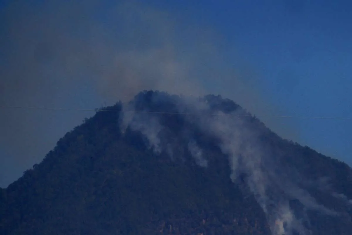 Kebakaran Gunung Panderman meluas