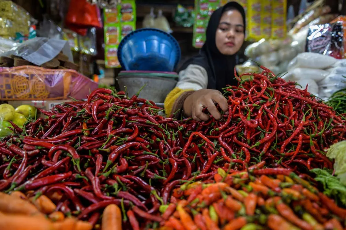 Harga Pangan Terkini di NTT 8 Januari 2025: Cabai Keriting dan Gula Konsumsi Turun