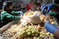 Keadilan Pajak dan Shadow Economy