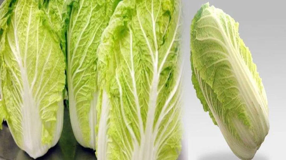 Mengobati Flu, 5 Manfaat Sawi Putih 