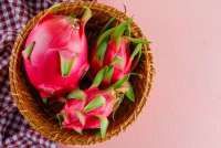 Upaya Maksimalkan Panen Buah Naga