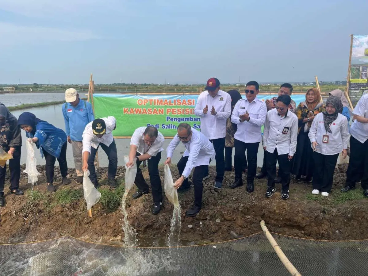 PGN dan BRIN Dorong Nilai Ekonomi Lahan Pesisir Batang Lewat Minapadi Salin