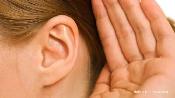 Penyebab telinga berdenging