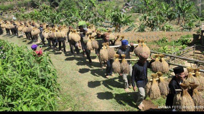 Kemarau, musim tanam padi mundur