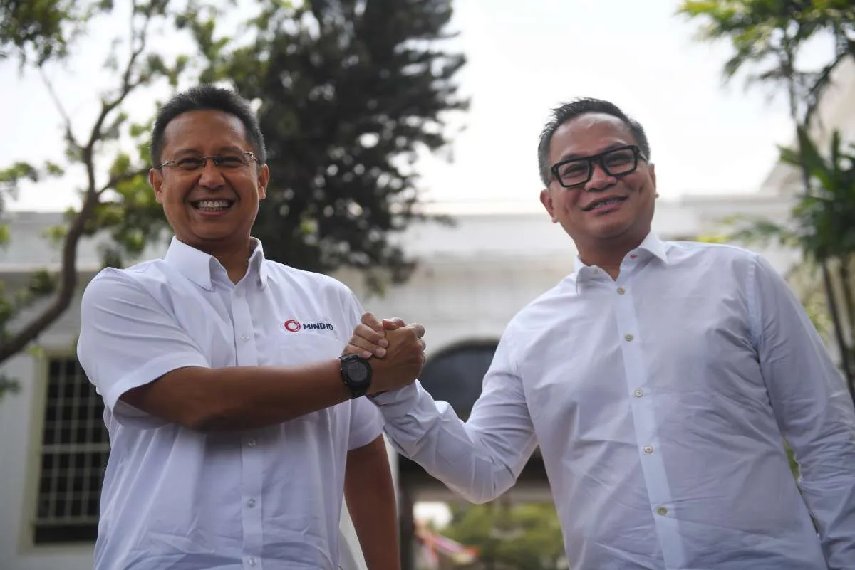 Jokowi tunjuk Budi Gunadi Sadikin jadi Ketua Satgas Pemulihan Ekonomi Nasional