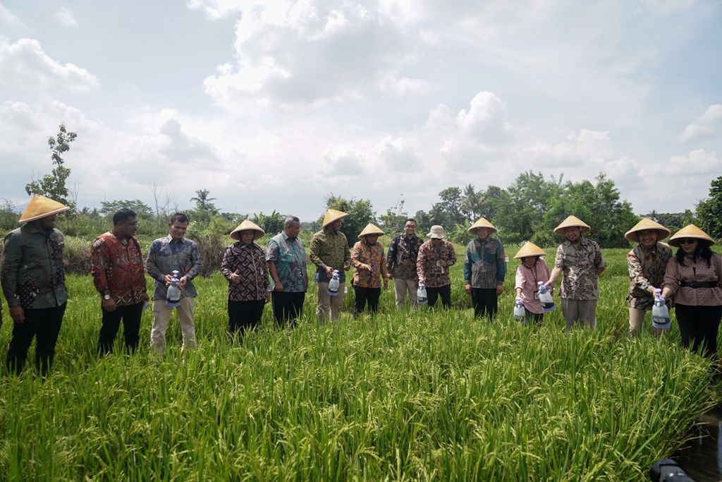 Kontan - Bukit Asam Kilas Online.