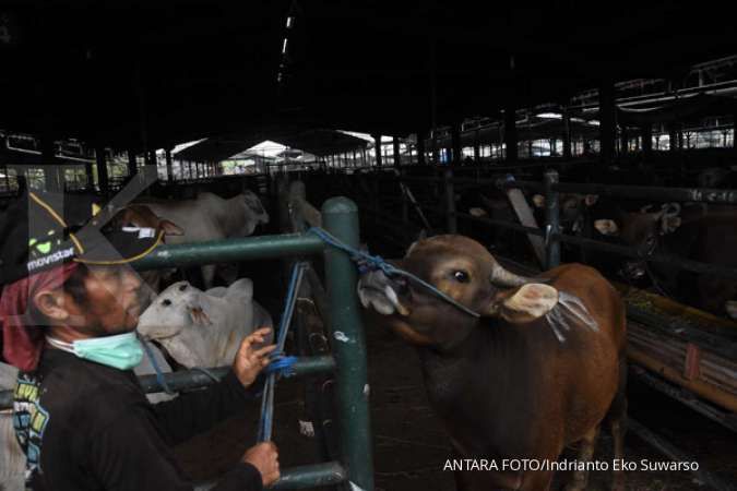 Perumda DKI Jakarta Dharma Jaya Siap Kuasai Industri Daging, Ini Strateginya