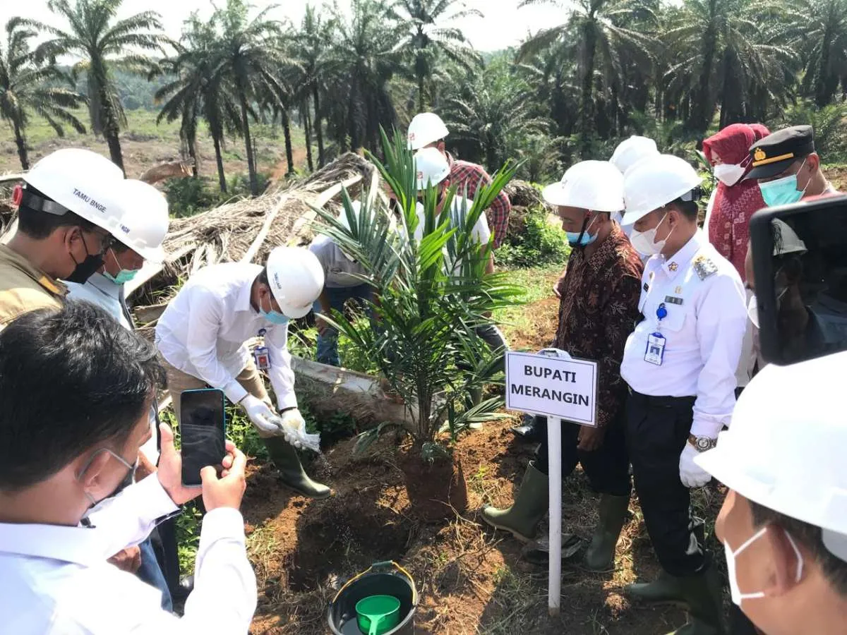 Sinar Mas Agribusiness and Food lakukan peremajaan sawit rakyat di Merangin, Jambi