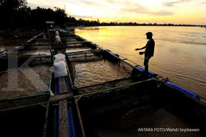 Selanjutnya, sungai terpanjang di Indonesia terletak di Pulau Sumatera yakni Sungai Batanghari. 