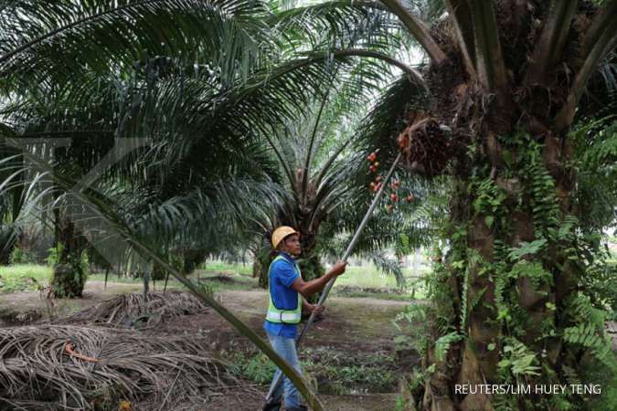 Amerika Serikat melarang impor minyak sawit dari Sime Darby Malaysia