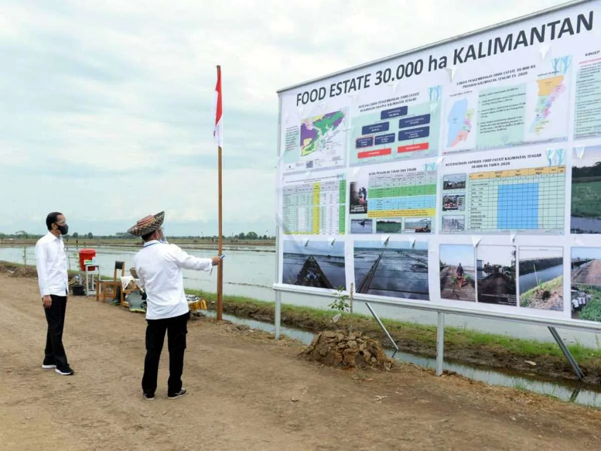 Jokowi minta kepala daerah percepat izin food estate