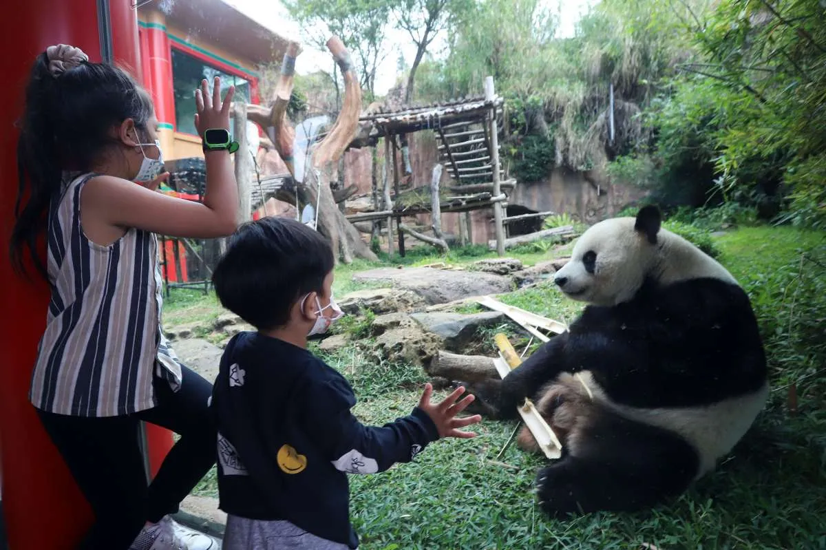 Mau berlibur juga harus menyiapkan rapid antigen 