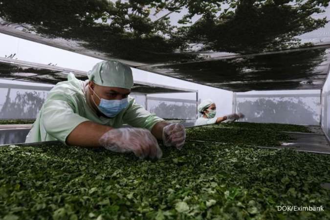 Kontan - Eximbank Indonesia Kilas Online