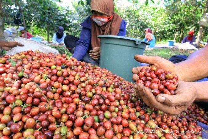 Ekspor kopi Lampung naik 4,56% di akhir 2016
