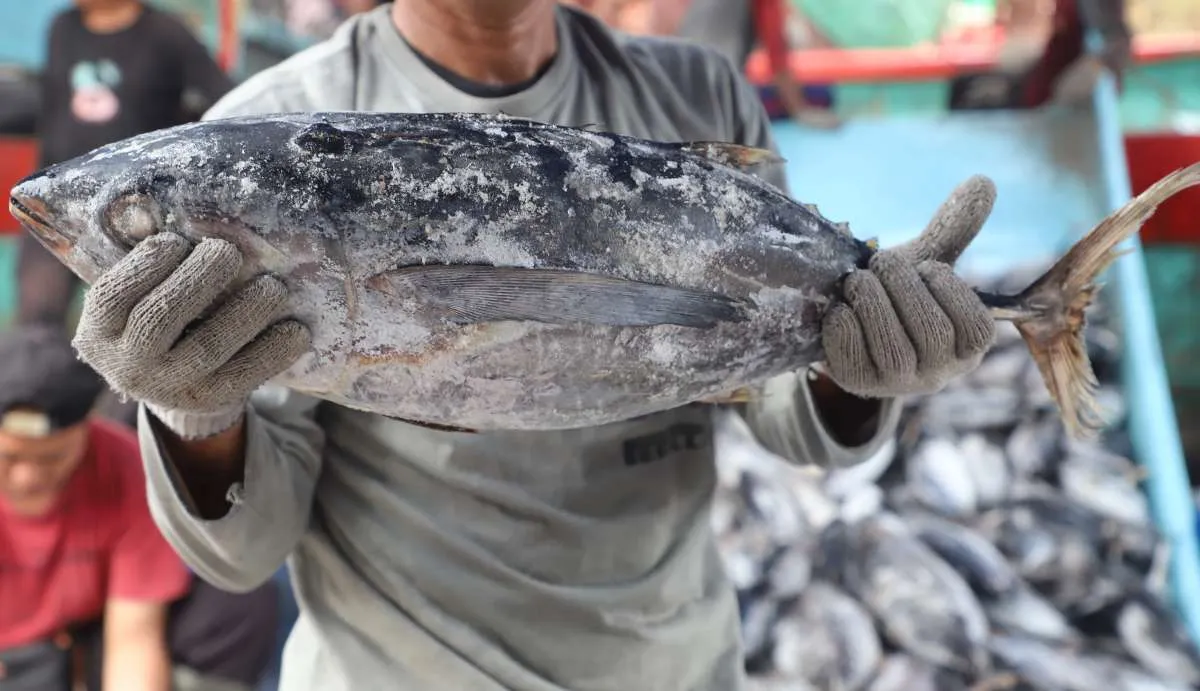 Apa Hari Besar Setiap 21 November? Ada Hari Ikan Nasional hingga Televisi Sedunia