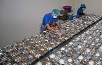 Klik Mitra.bgn.go.id. BGN Kembali Buka Pendaftaran Mitra Dapur MBG, Cek Syaratnya