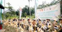 Mekar Asta Nusantara (MANU) Gelar Panen Perdana Jagung Agroforestri