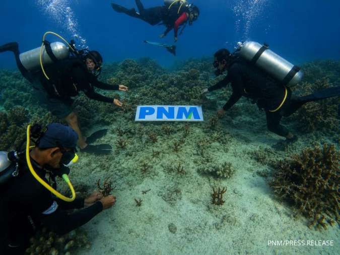 Upaya PNM Hadirkan Masa Depan Anak-Anak Lewat Pelestarian Laut