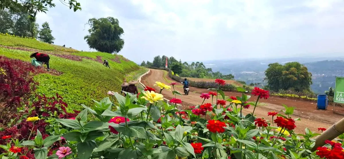 Cahayasakti (CSIS) Bikin Anak Usaha Baru, Jalankan Bisnis Pariwisata dan Real Estate