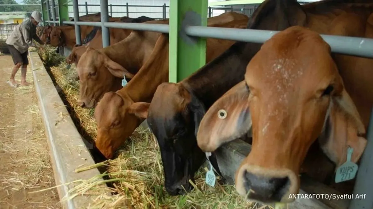 DPR Menggodok RUU Kesehatan Hewan