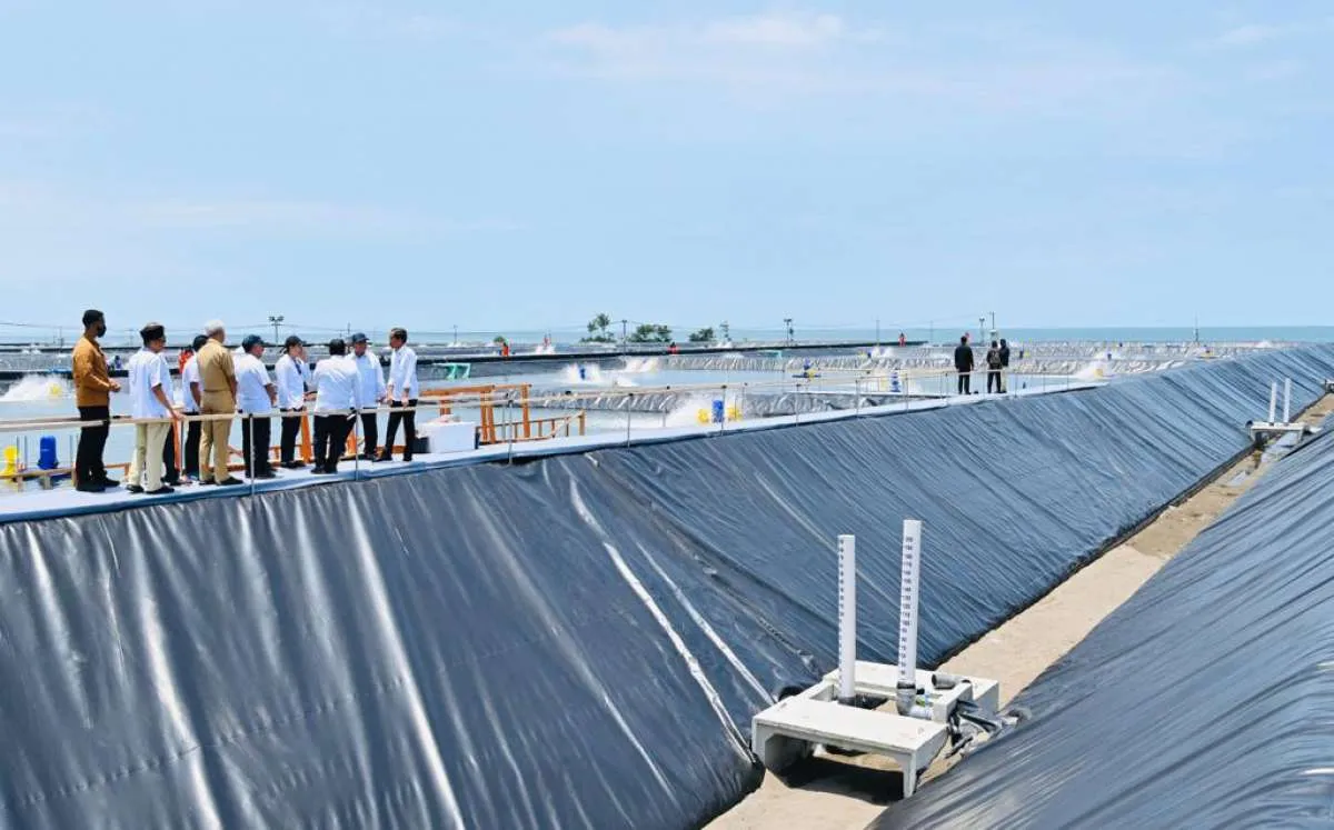 Proyek ADHI dan KKP Dinobatkan Jadi Kawasan Tambak Udang Modern Pertama di Indonesia