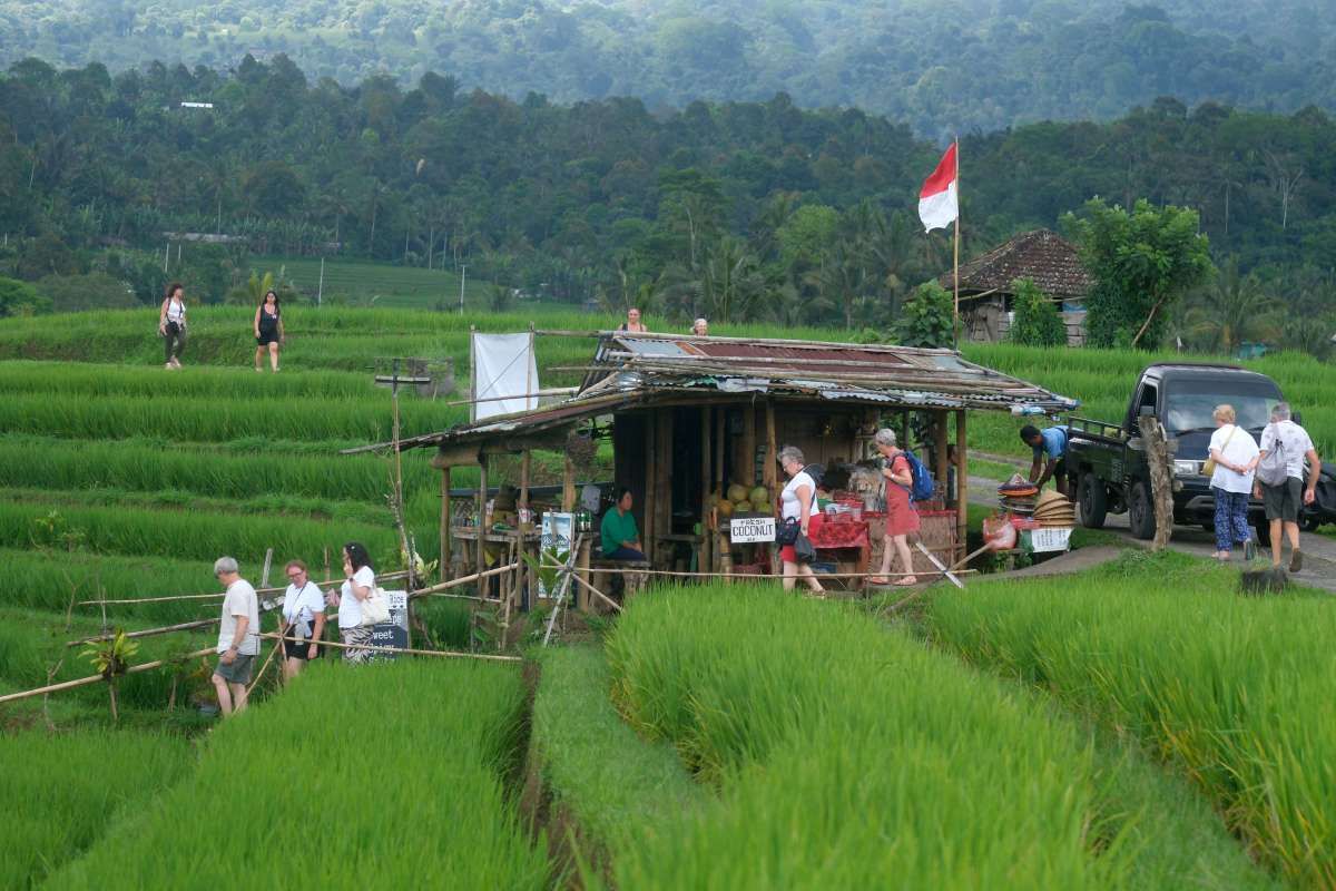 APBD yang Mengendap dan Inersia Fiskal Daerah