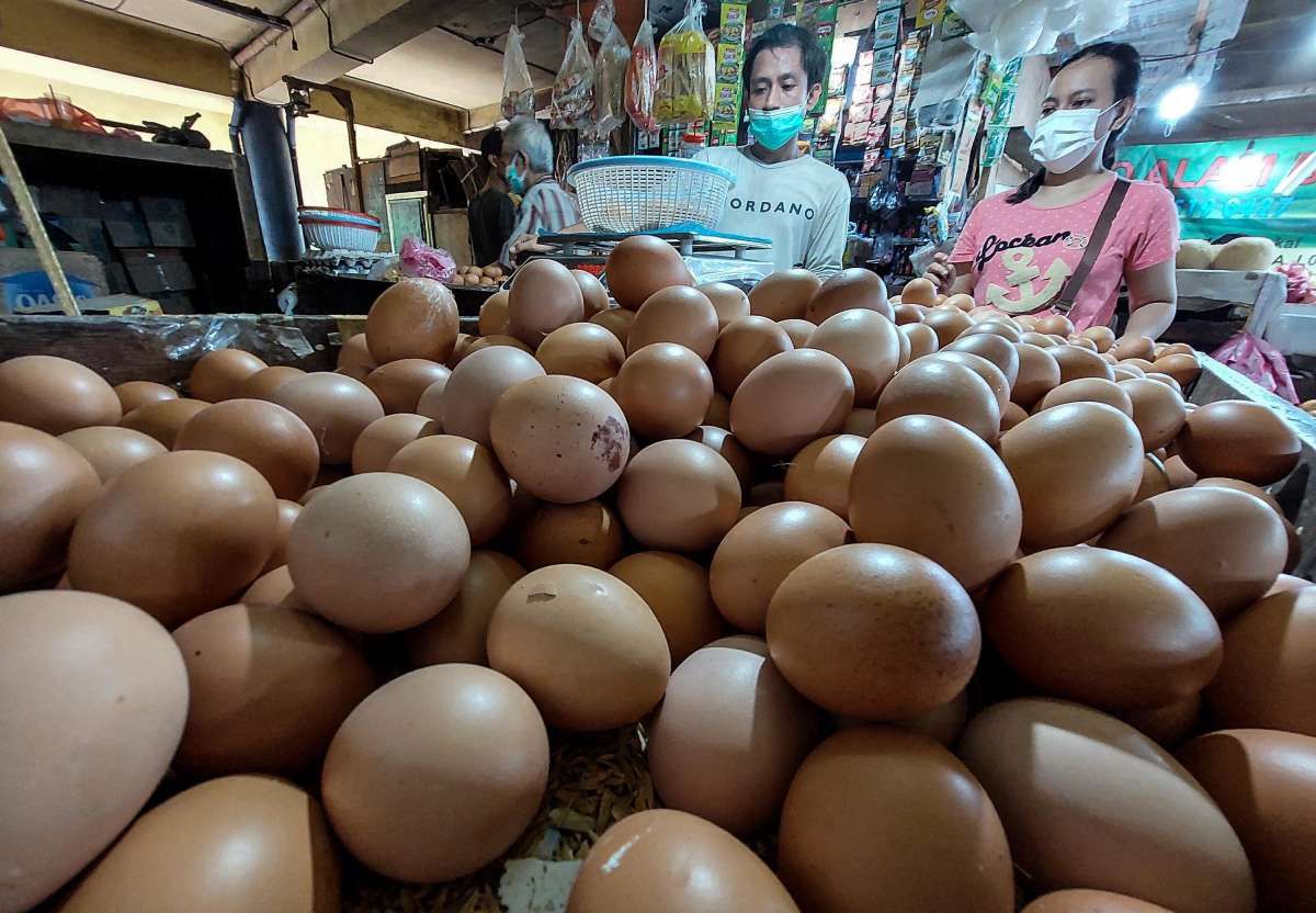 Bertahan Tinggi, Harga Pangan Naik Silih Berganti