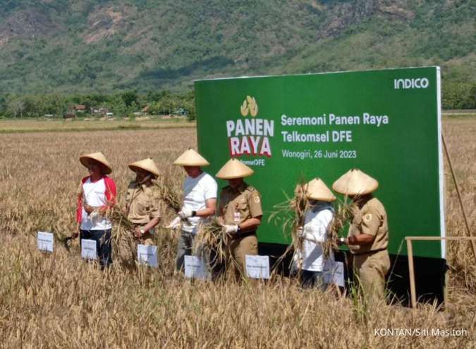 Indico Perluas Digitalisasi Pertanian Hingga 1.000 Hektare di Jawa Tengah