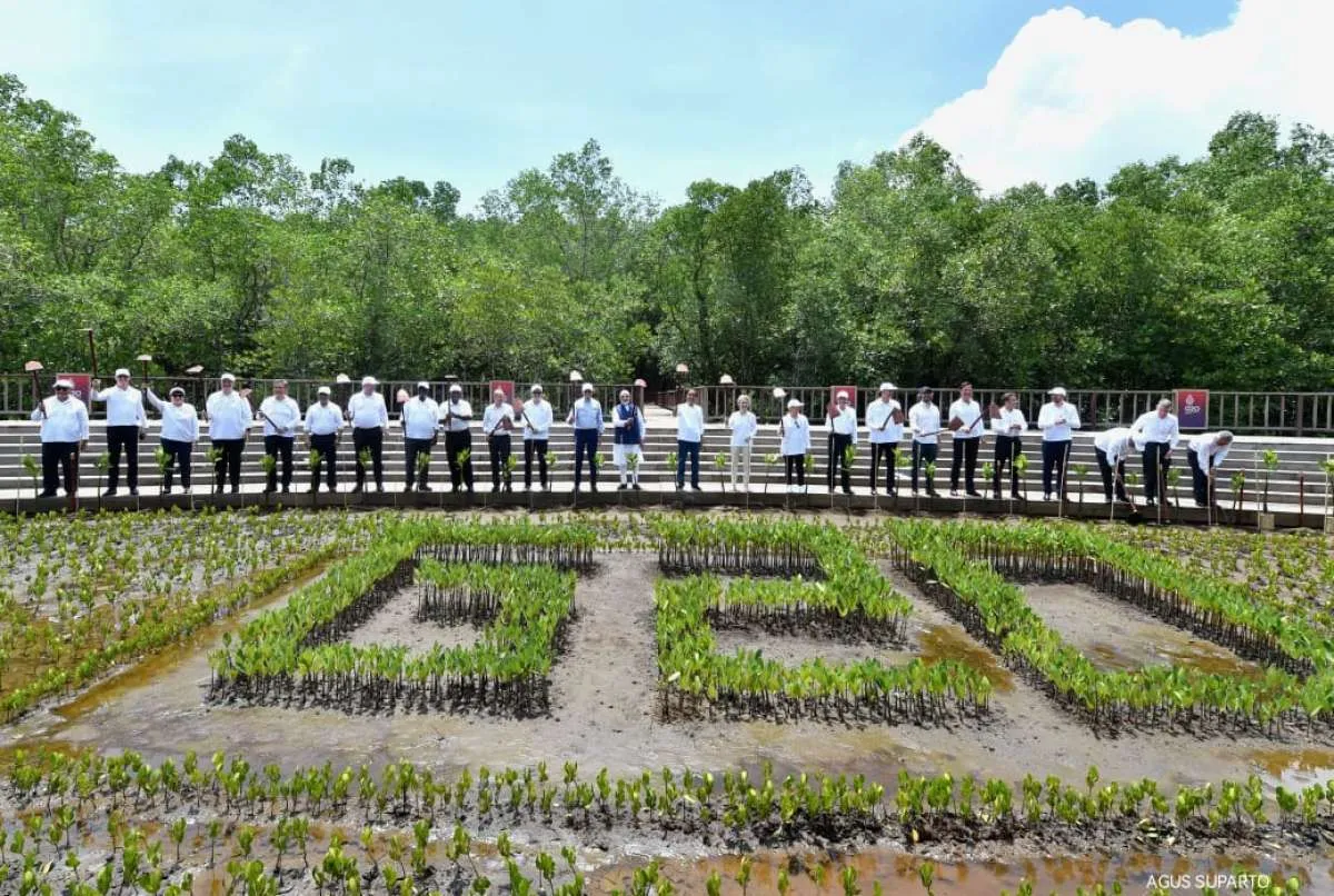 Sukses Gelar G20, Posisi Tawar Indonesia di Global Semakin Besar