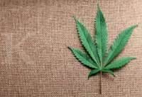 Industri Ganja AS Akhiri Pengasingan Sektor Finansial