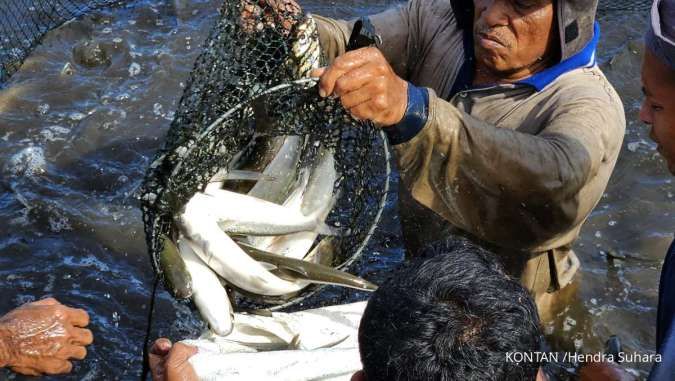 Desa Padang Panjang Terus Tingkatkan Potensi, BRI Beri Dukungan Melalui AgenBRILink