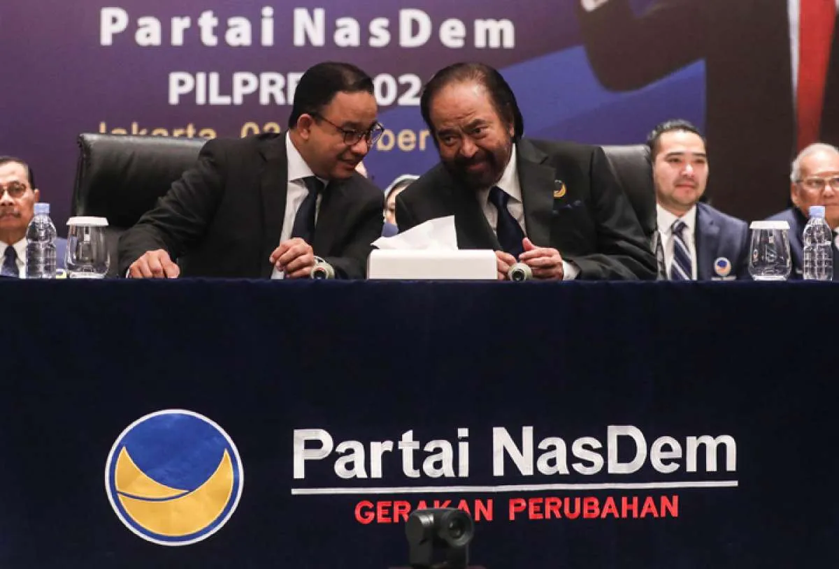 Setelah Umumkan Anies Capres, Waketum Nasdem Klaim Partainya Makin Besar
