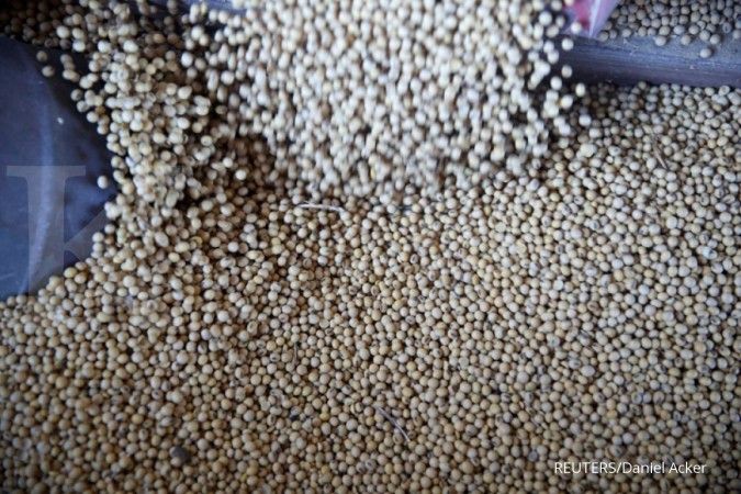 Impor kedelai China bulan September menyusut karena penurunan permintaan pakan ternak