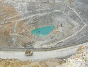 Hatta pastikan divestasi 7% saham Newmont diambil pemerintah