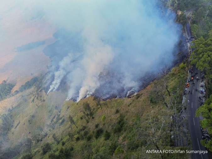 Kebakaran Hutan Gunung Bromo Hanguskan 60 Hektare, Angin Kencang Hambat Pemadaman