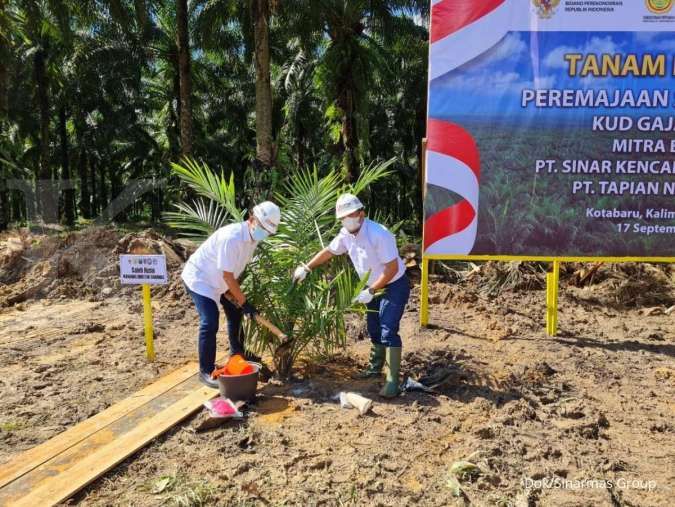 BPDPKS Telah Salurkan Rp 7,52 Triliun untuk Peremajaan Sawit Rakyat Sepanjang 2022