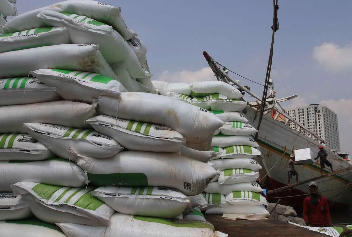 Dorong sektor pertanian modern, Pupuk Indonesia luncurkan program Agro Solution