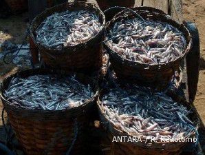 Pencemaran ancam budidaya ikan di Pantura