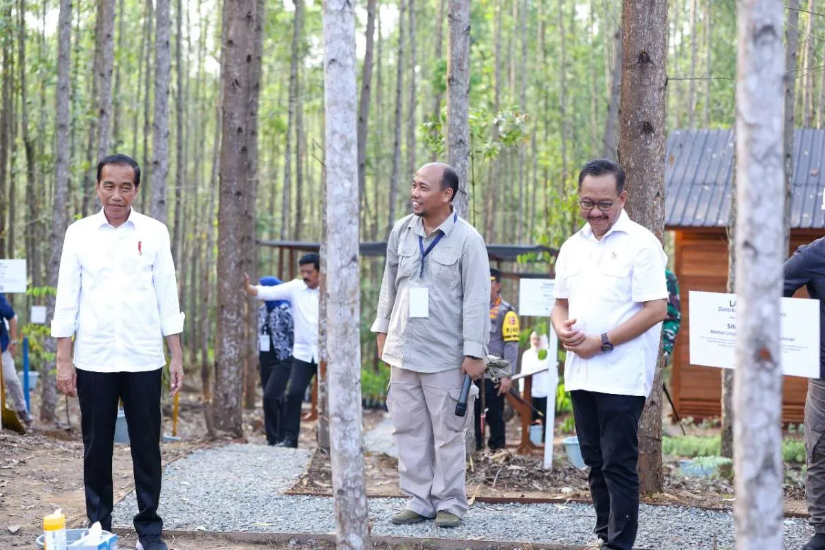 Reforestasi IKN Membangun Kota Hutan Inklusif