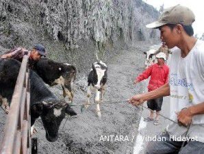 Rekonstruksi pasca Merapi, Sultan Jogja masih tunggu keputusan Pemerintah Pusat