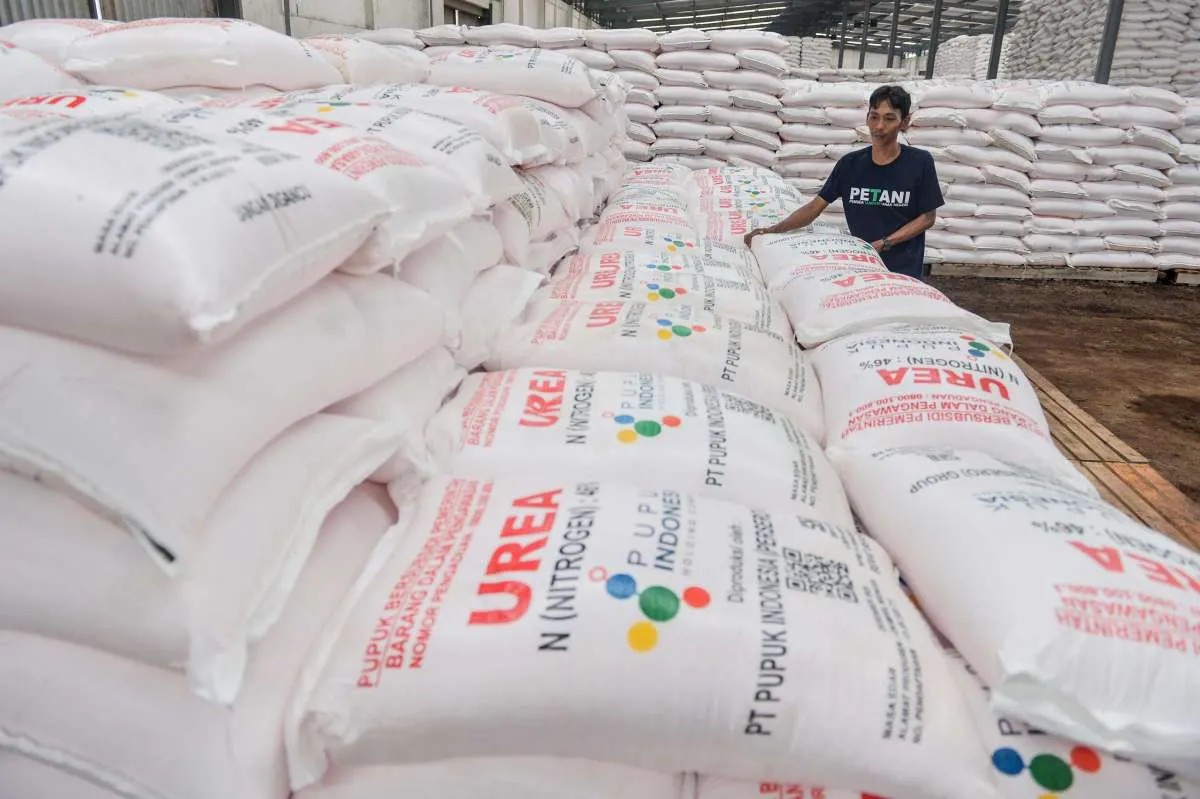 Potong Pemburu Rente, Anggota DPR Dorong Penyaluran Pupuk Subsidi Langsung ke Desa
