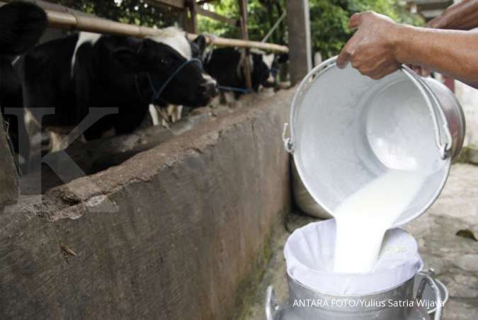Upaya genjot produksi susu domestik lewat kemitraan dengan peternak sapi lokal